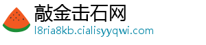 敲金击石网